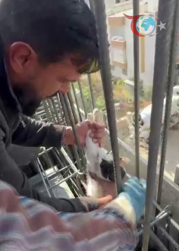 Adıyaman’da Kirişlerde Mahsur Kalan Kedi Mucizevi Kurtarılışla Beton Altında Kalmaktan Kurtuldu
